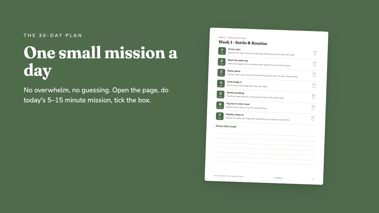 Preview of the 30-day plan